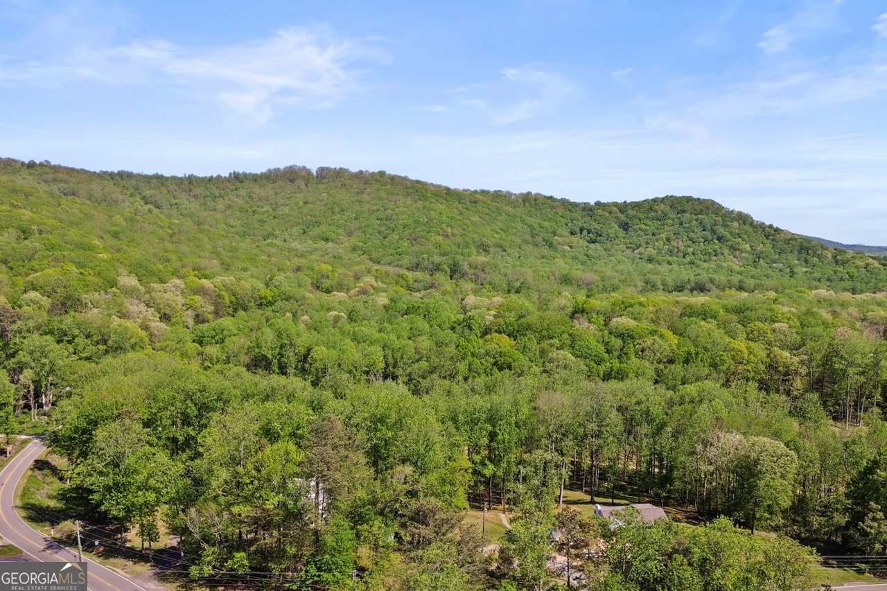 4865 Old Burnt Mountain Road Jasper - Photo 36