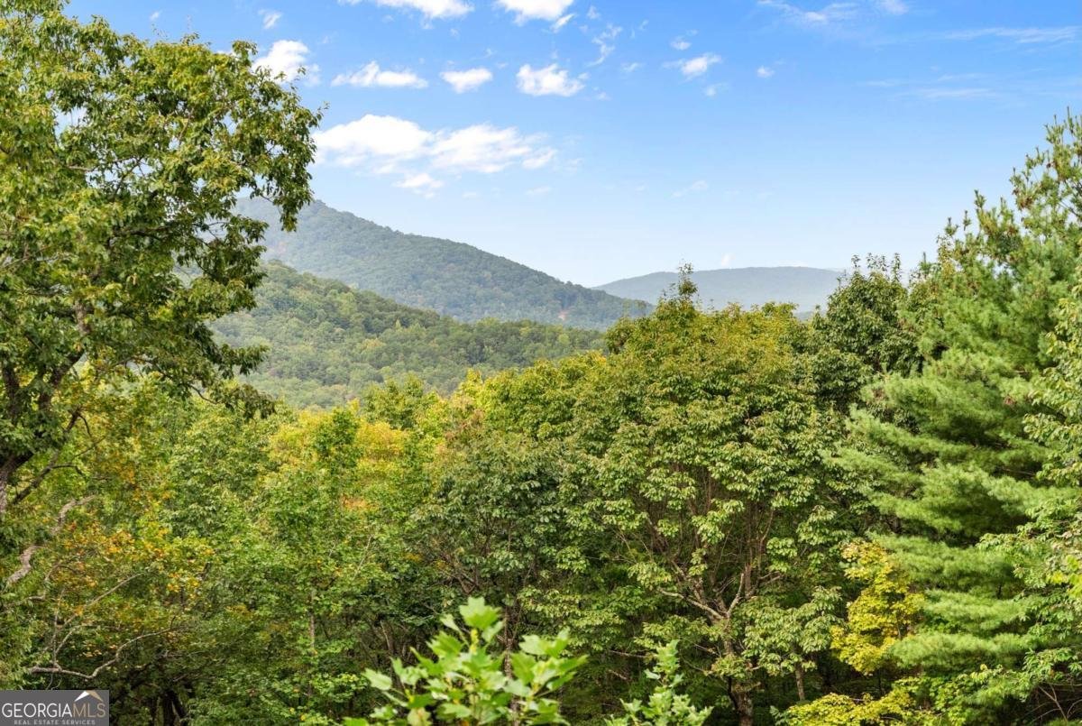 62 High Ridge Cleveland - Photo 27