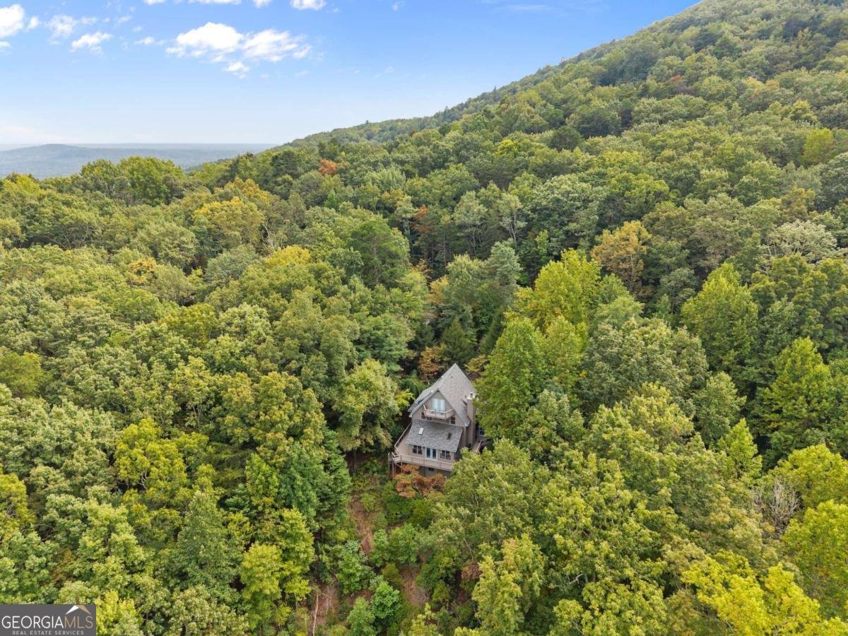 62 High Ridge Cleveland - Photo 41