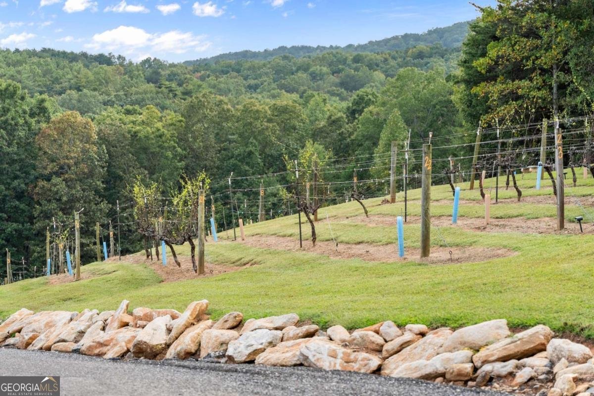 62 High Ridge Cleveland - Photo 44