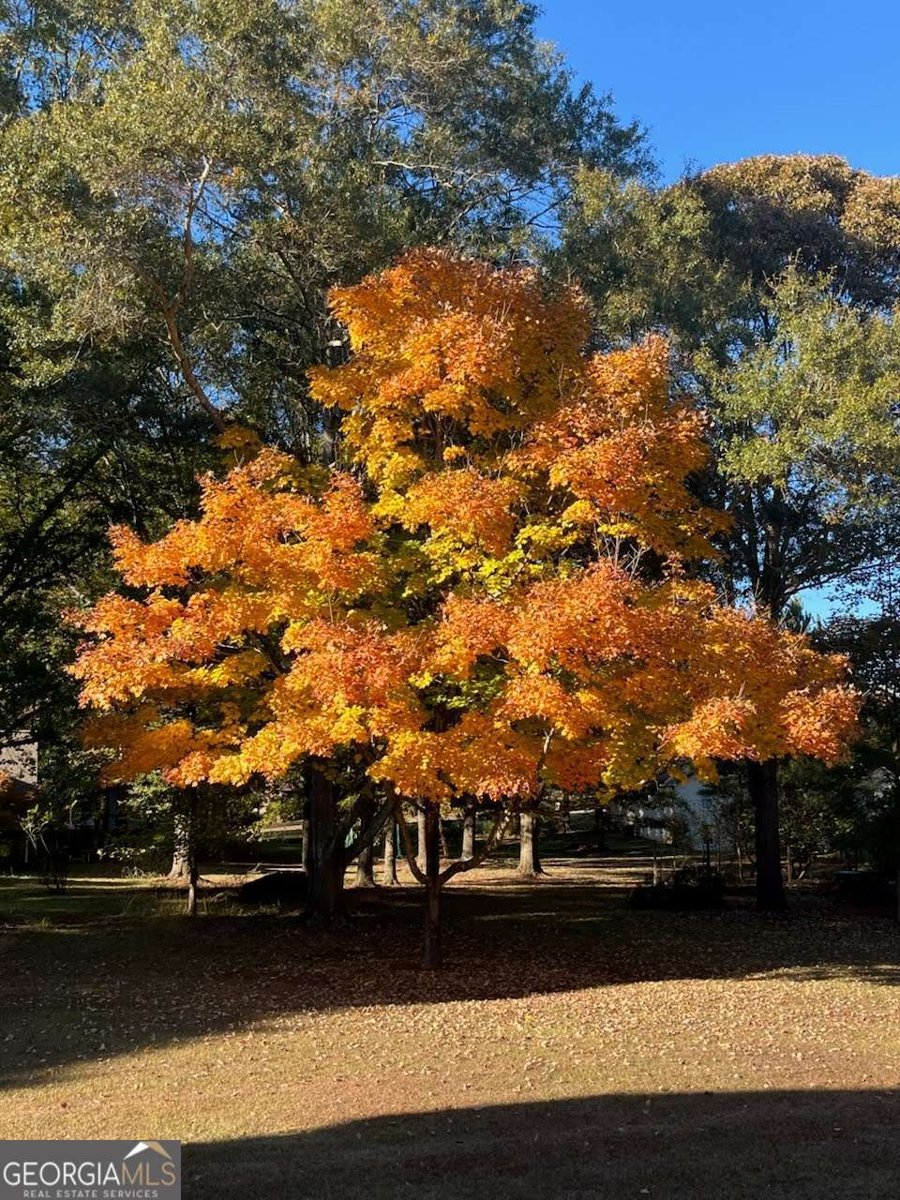 384 Rack Road Lawrenceville - Photo 43