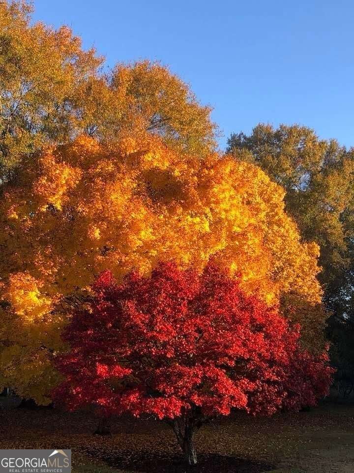 384 Rack Road Lawrenceville - Photo 44