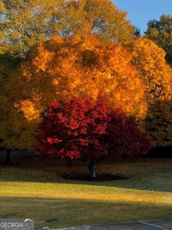 384 Rack Road Lawrenceville - Photo 45