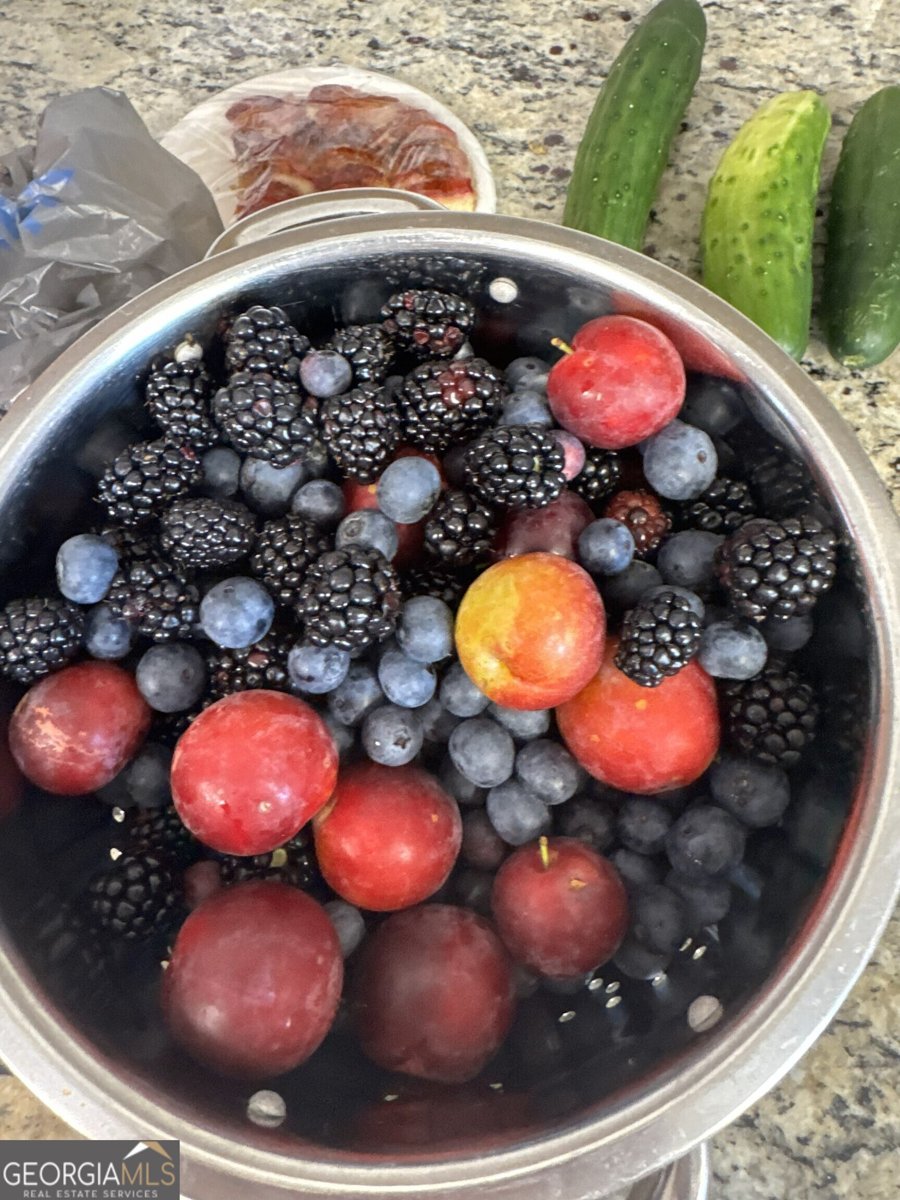 1700 Aqua Road Madison - Photo 47