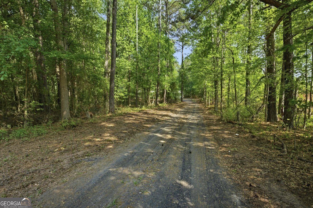 4599 Rex Road Rex - Photo 15