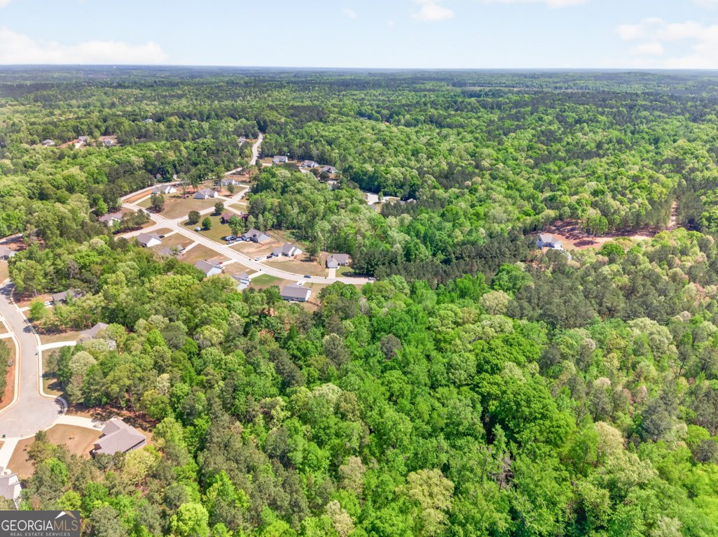 188 Wisteria Lane Mansfield - Photo 68