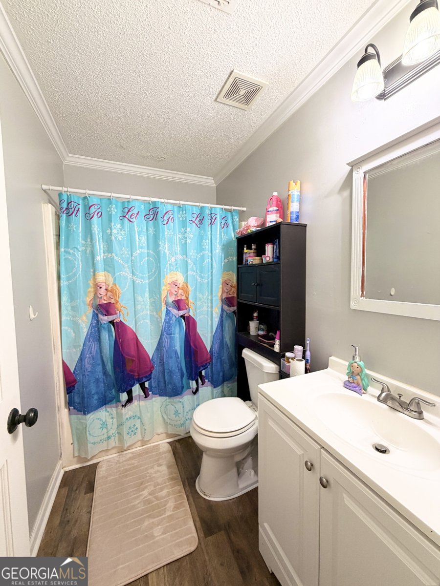 73 Friendship Church Road Buchanan - Photo 14