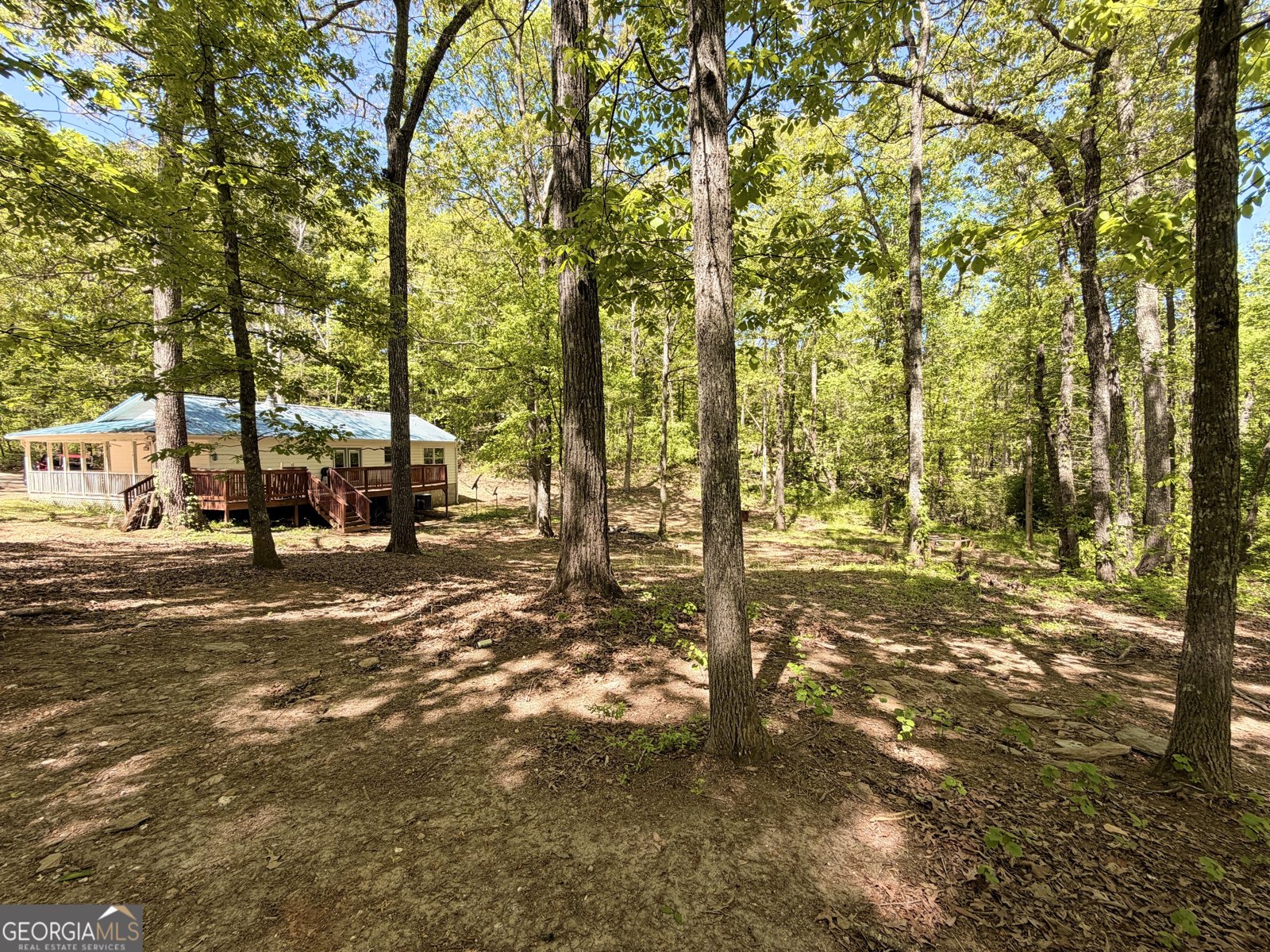 73 Friendship Church Road Buchanan - Photo 17