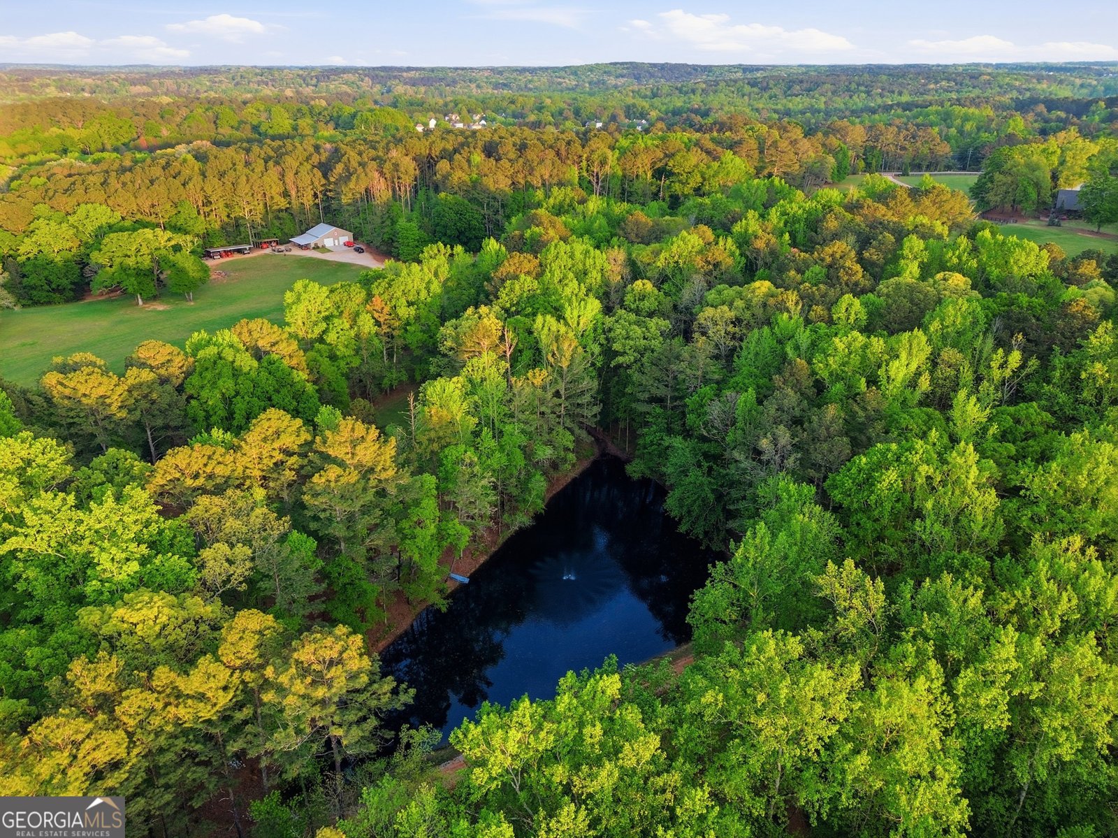 2699 Turner Church Road McDonough - Photo 45