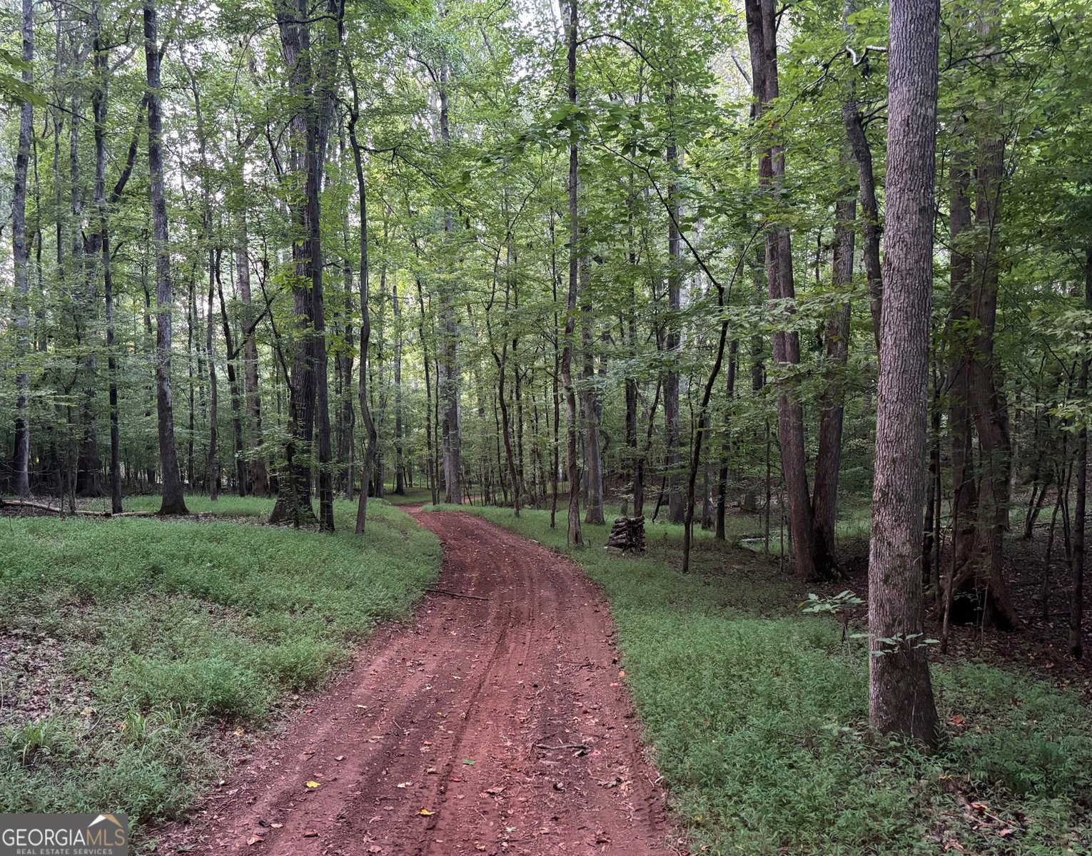 2699 Turner Church Road McDonough - Photo 50