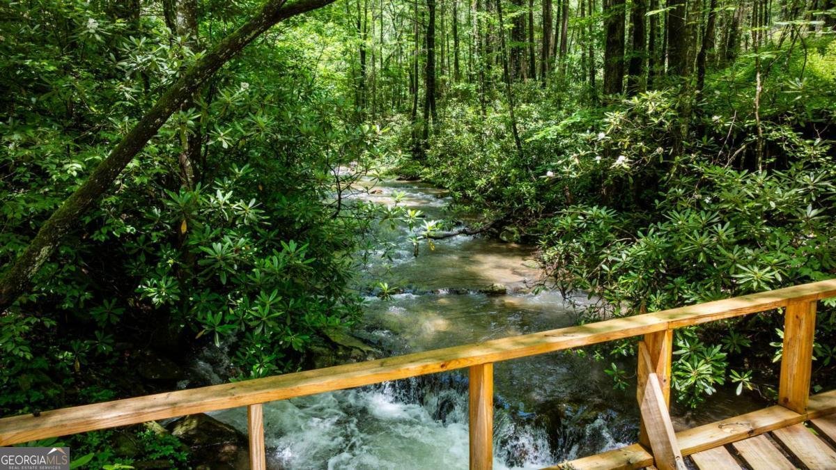 10323 Grassy Mountain Road Ellijay - Photo 15