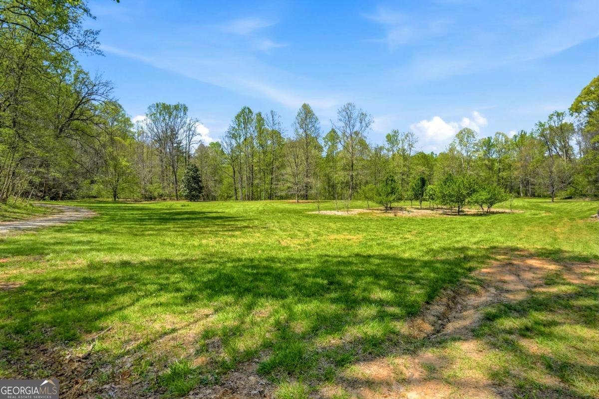 500 Big Sky Trail Dahlonega - Photo 40