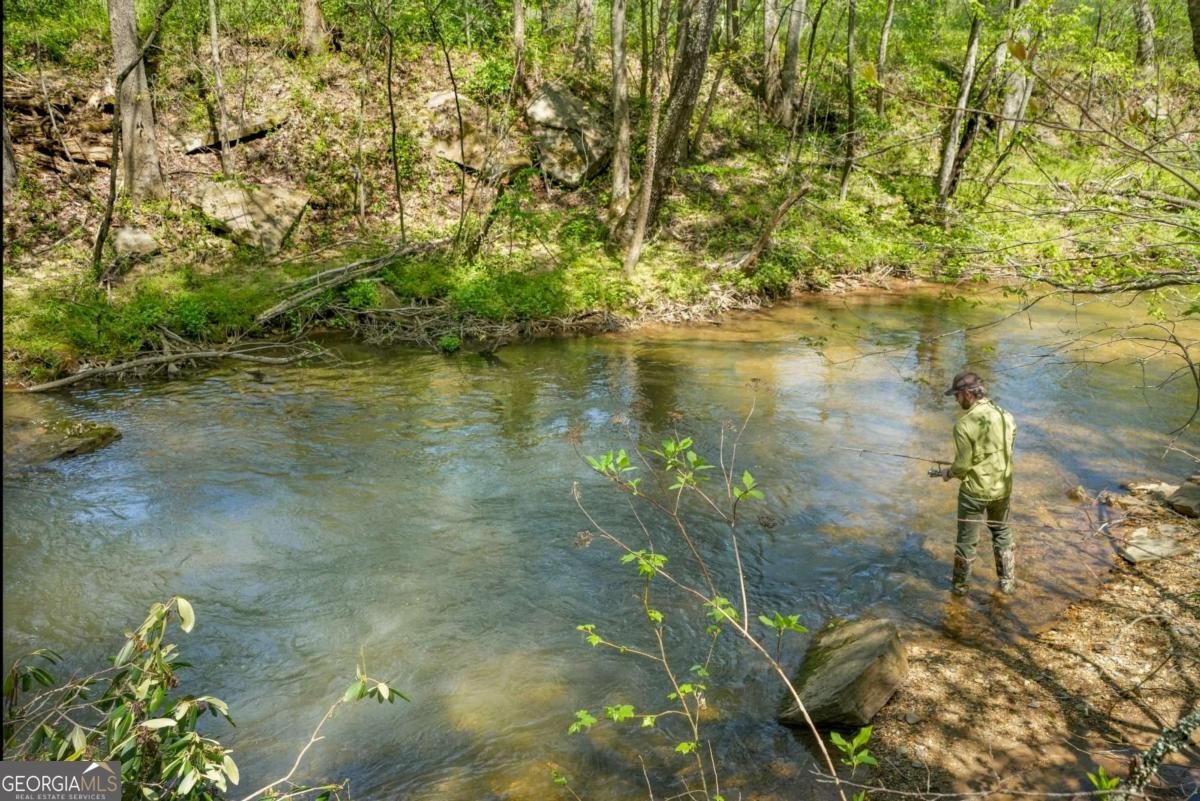 500 Big Sky Trail Dahlonega - Photo 41