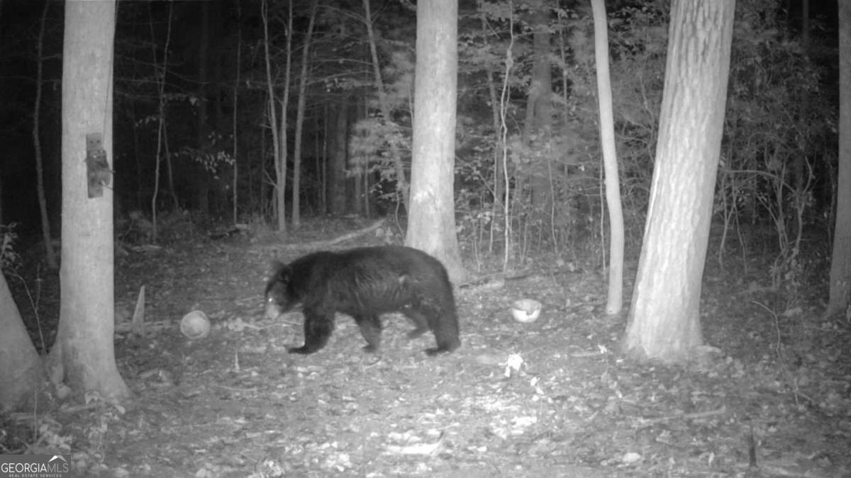 500 Big Sky Trail Dahlonega - Photo 48