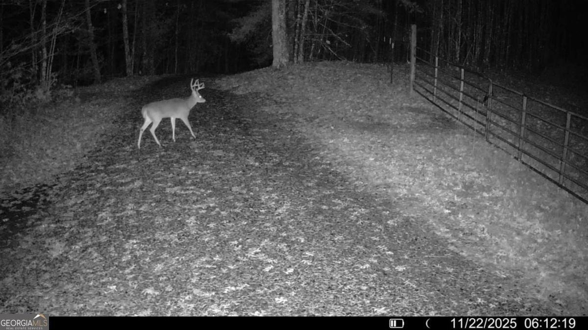500 Big Sky Trail Dahlonega - Photo 49