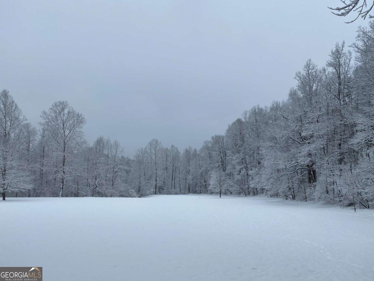 500 Big Sky Trail Dahlonega - Photo 51