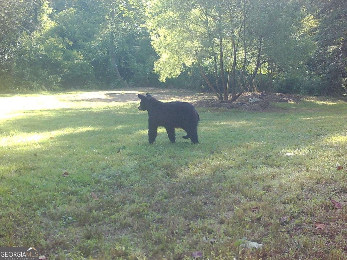 500 Big Sky Trail Dahlonega - Photo 52