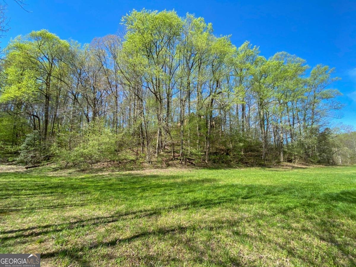 500 Big Sky Trail Dahlonega - Photo 54