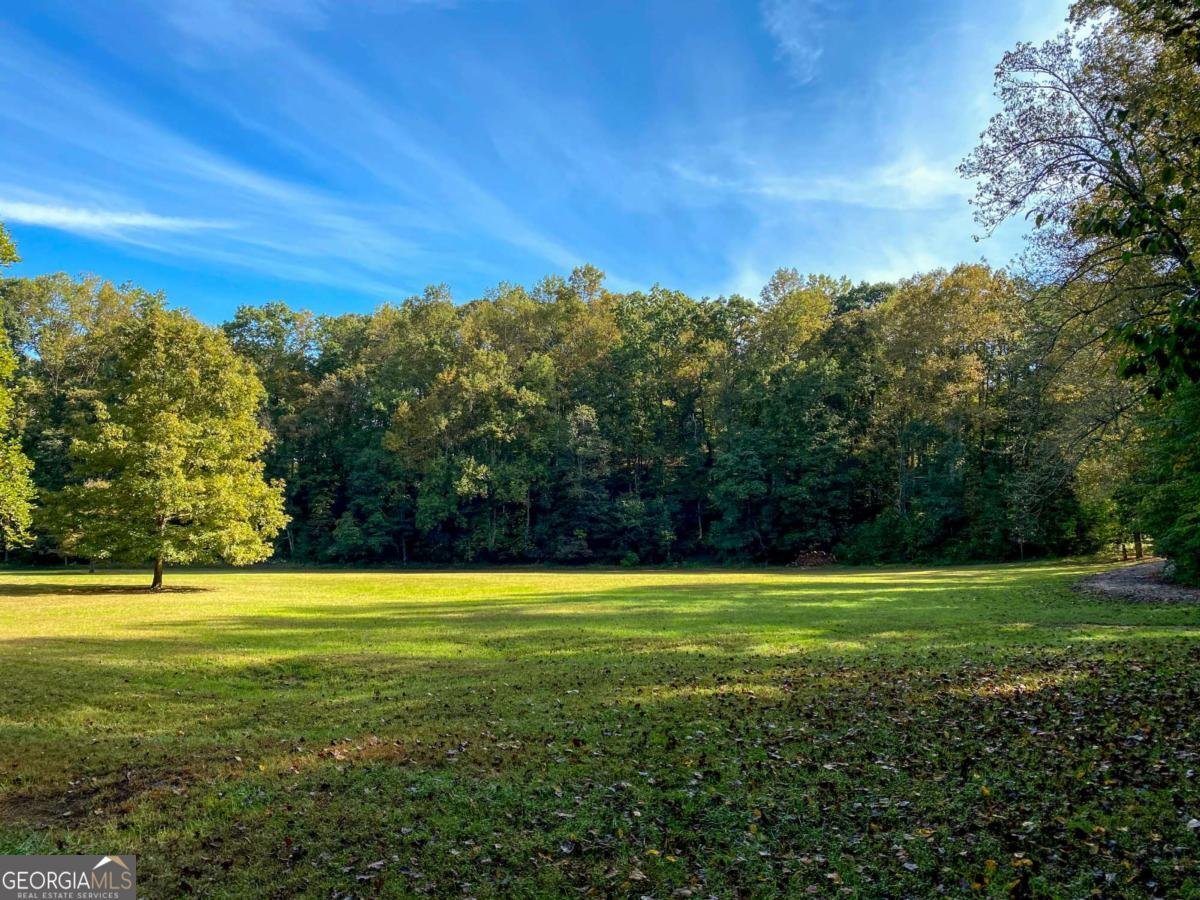 500 Big Sky Trail Dahlonega - Photo 55