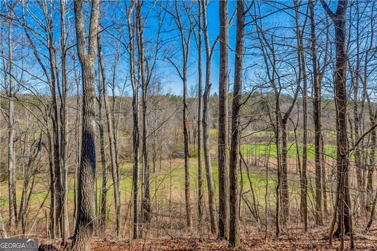 500 Big Sky Trail Dahlonega - Photo 56