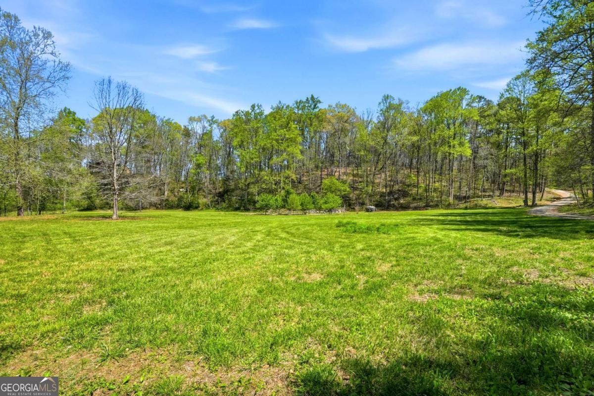 500 Big Sky Trail Dahlonega - Photo 8