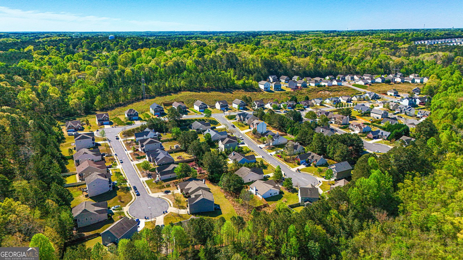 3835 Hawk Tail Drive Loganville - Photo 78
