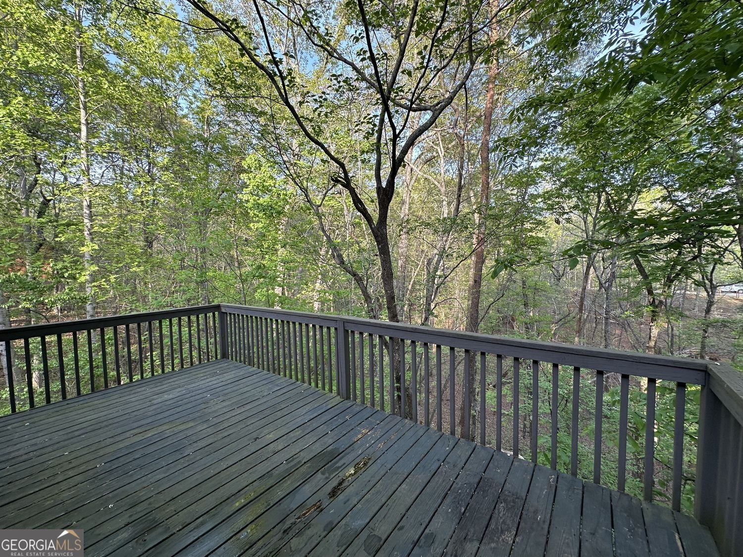 505 River Flow Drive Dahlonega - Photo 31
