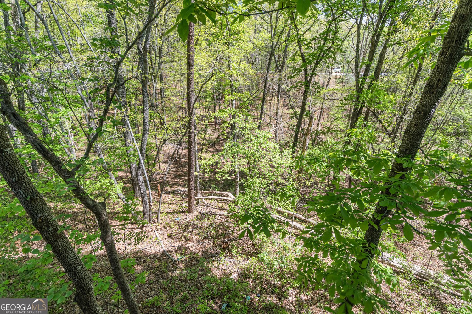 505 River Flow Drive Dahlonega - Photo 33