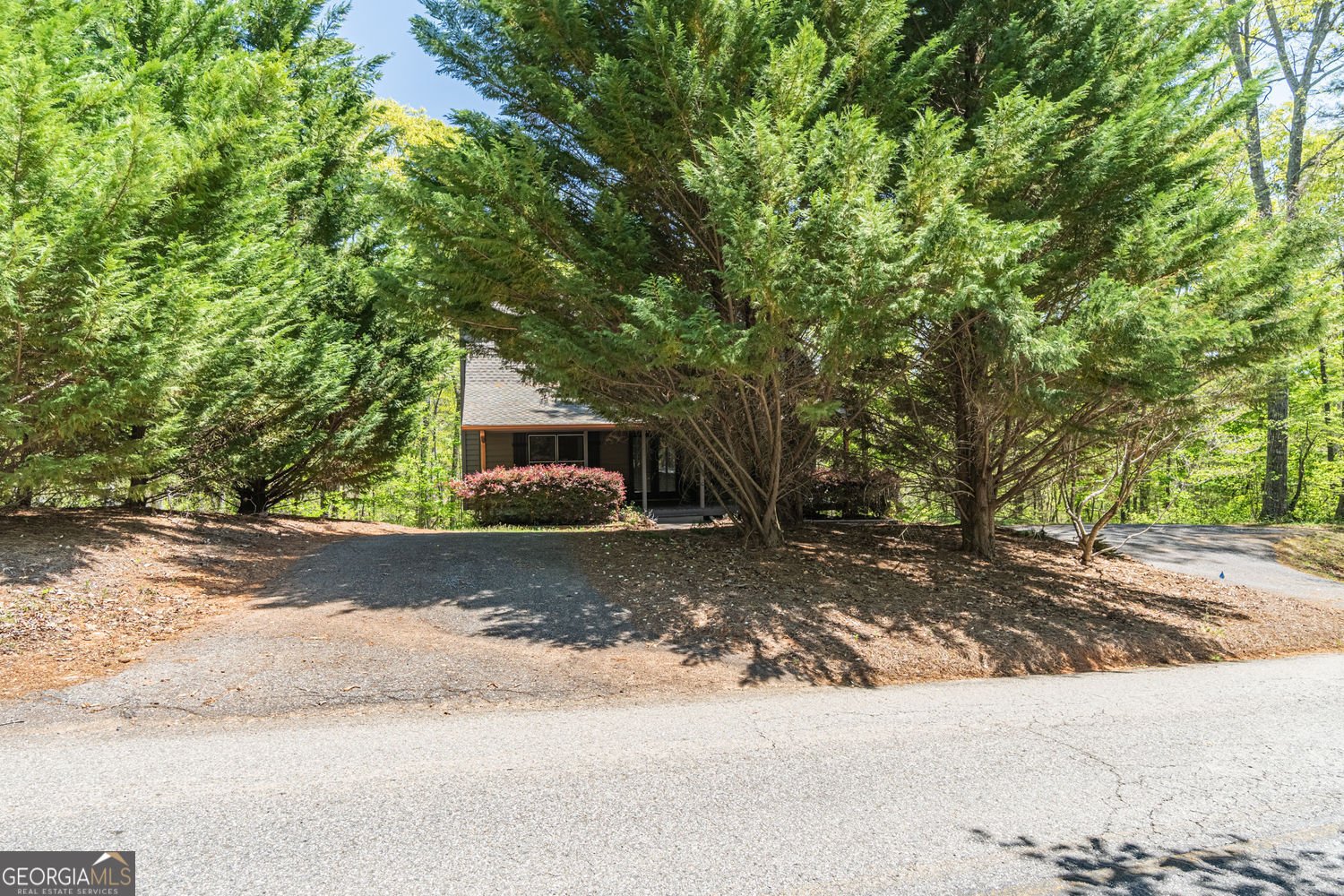 505 River Flow Drive Dahlonega - Photo 8