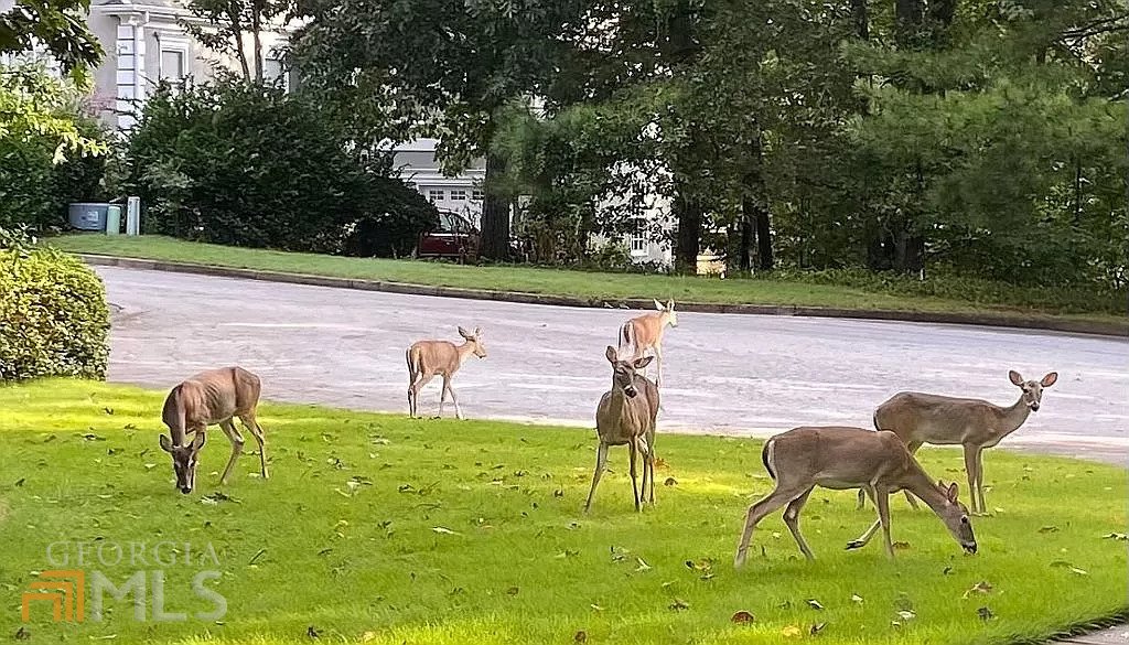 235 Bunratty Court Roswell - Photo 13