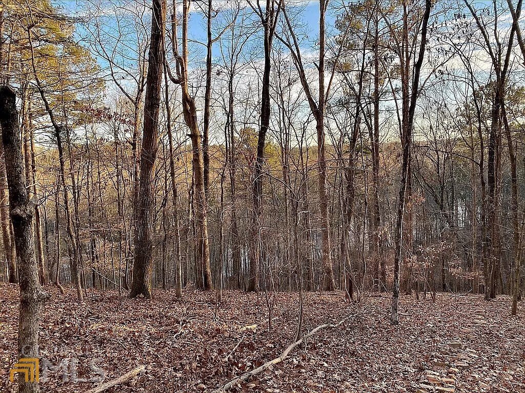 235 Bunratty Court Roswell - Photo 54