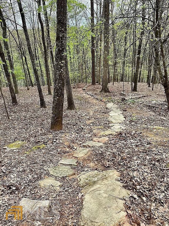 235 Bunratty Court Roswell - Photo 55