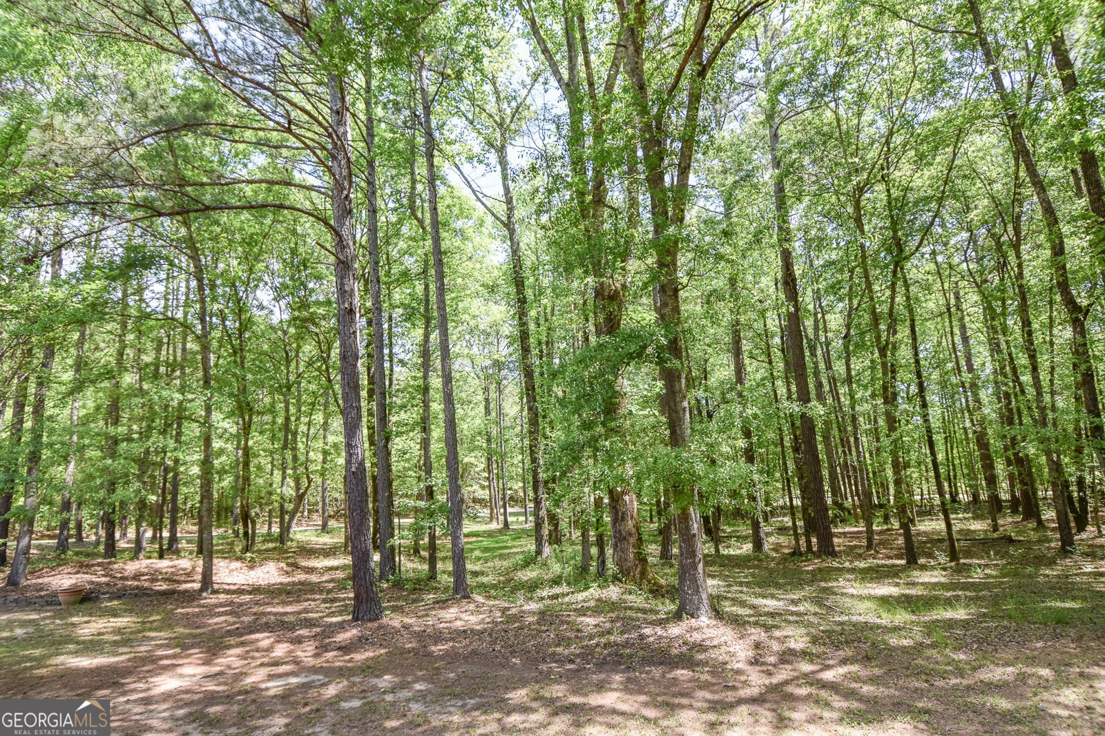 75 Katies Ct Meansville - Photo 14