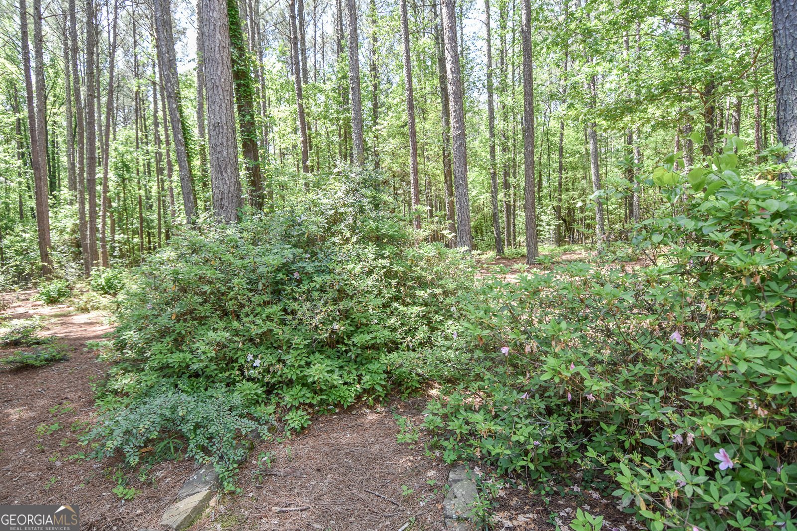 75 Katies Ct Meansville - Photo 63