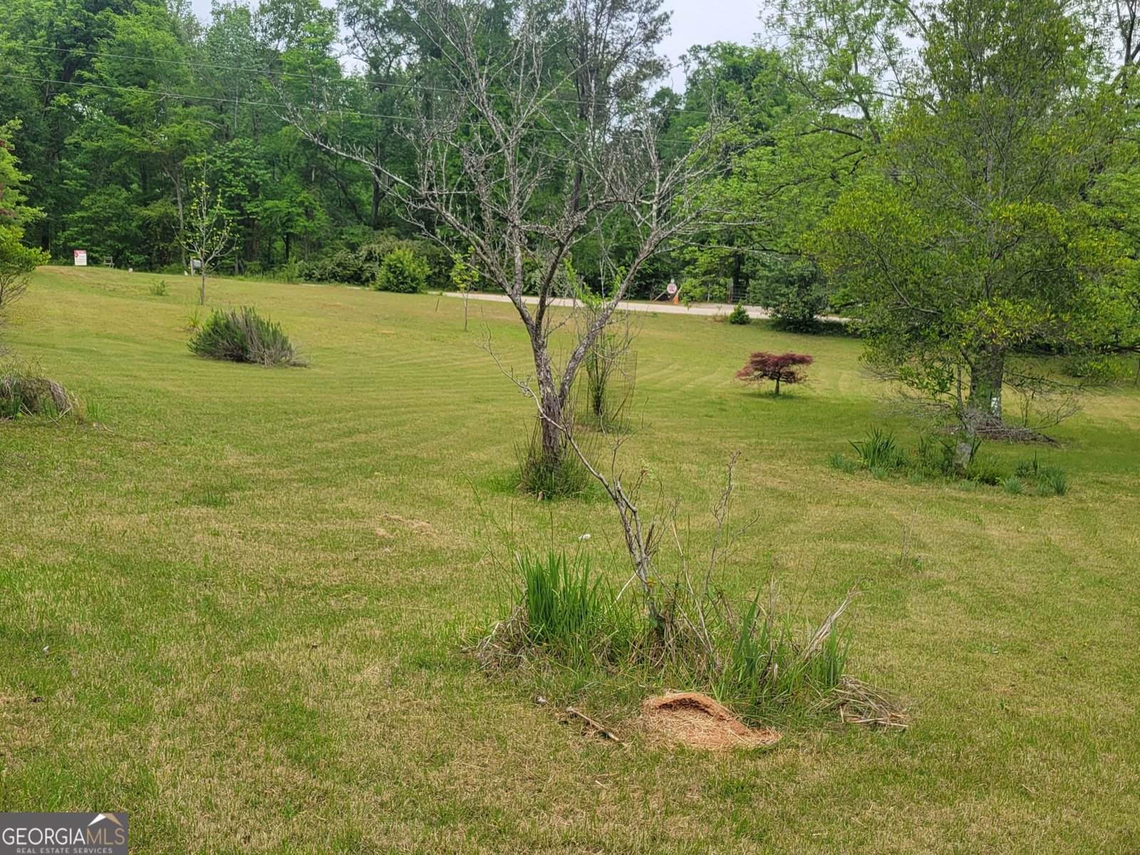 160 Norman Road Covington - Photo 47