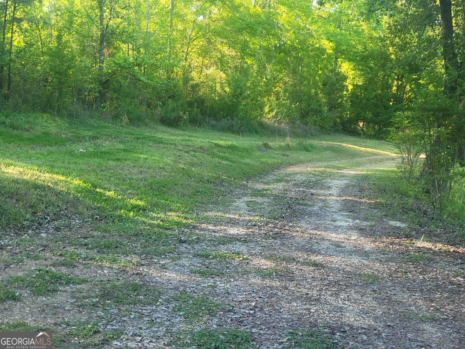 160 Norman Road Covington - Photo 8