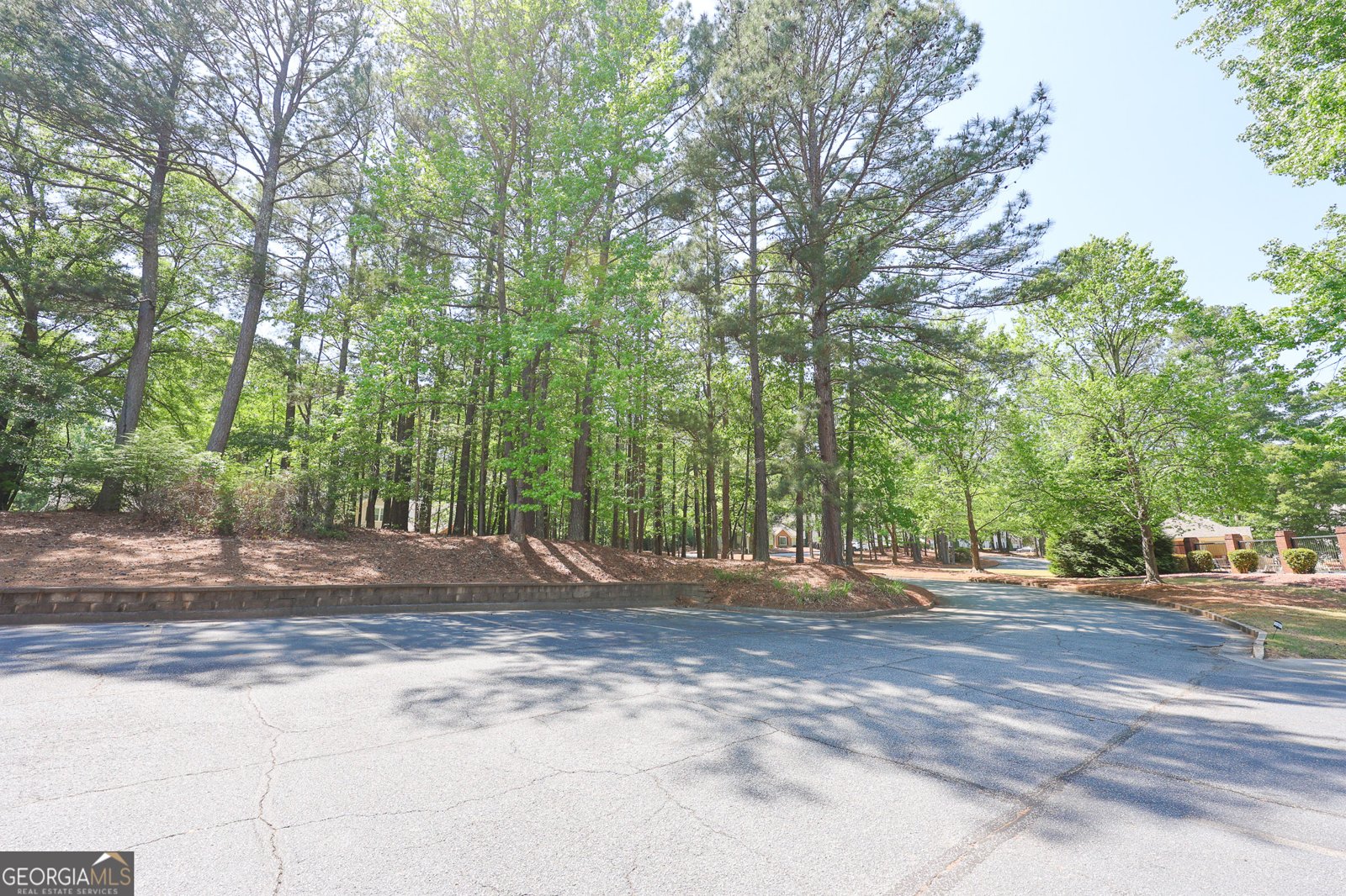 823 Ridgefield Drive Peachtree City - Photo 54