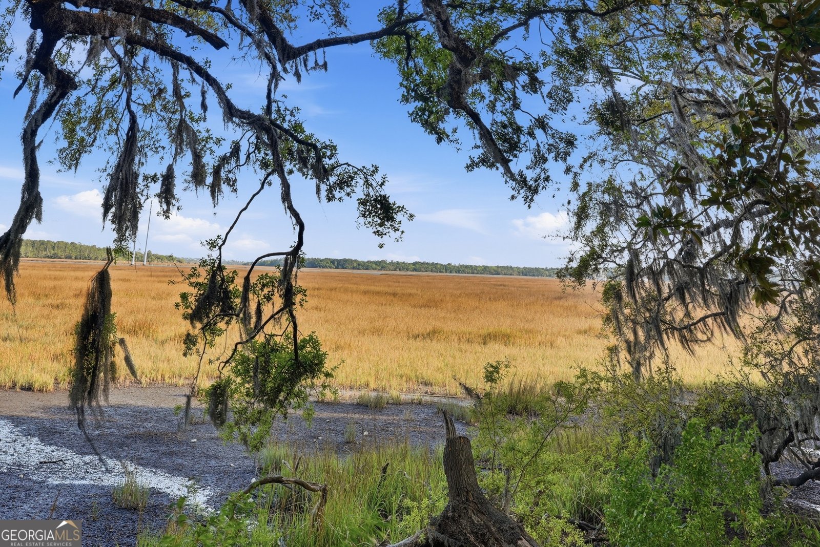 22 Longview Bluff Drive Savannah - Photo 34