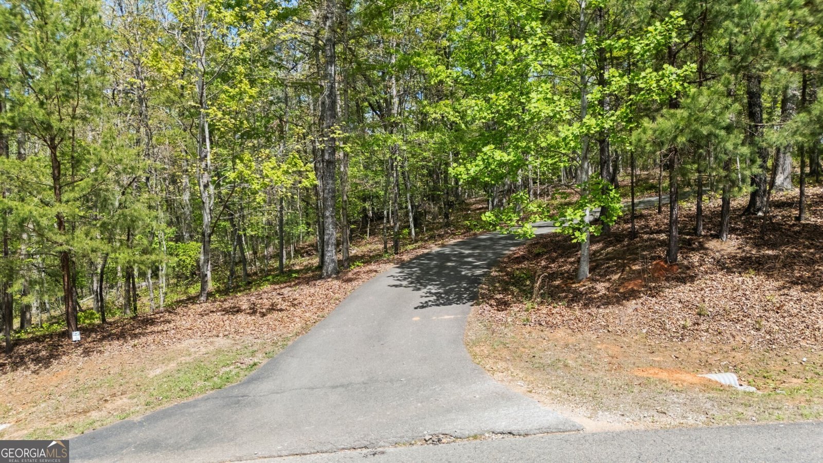 302 Cove Lake Drive Marble Hill - Photo 48