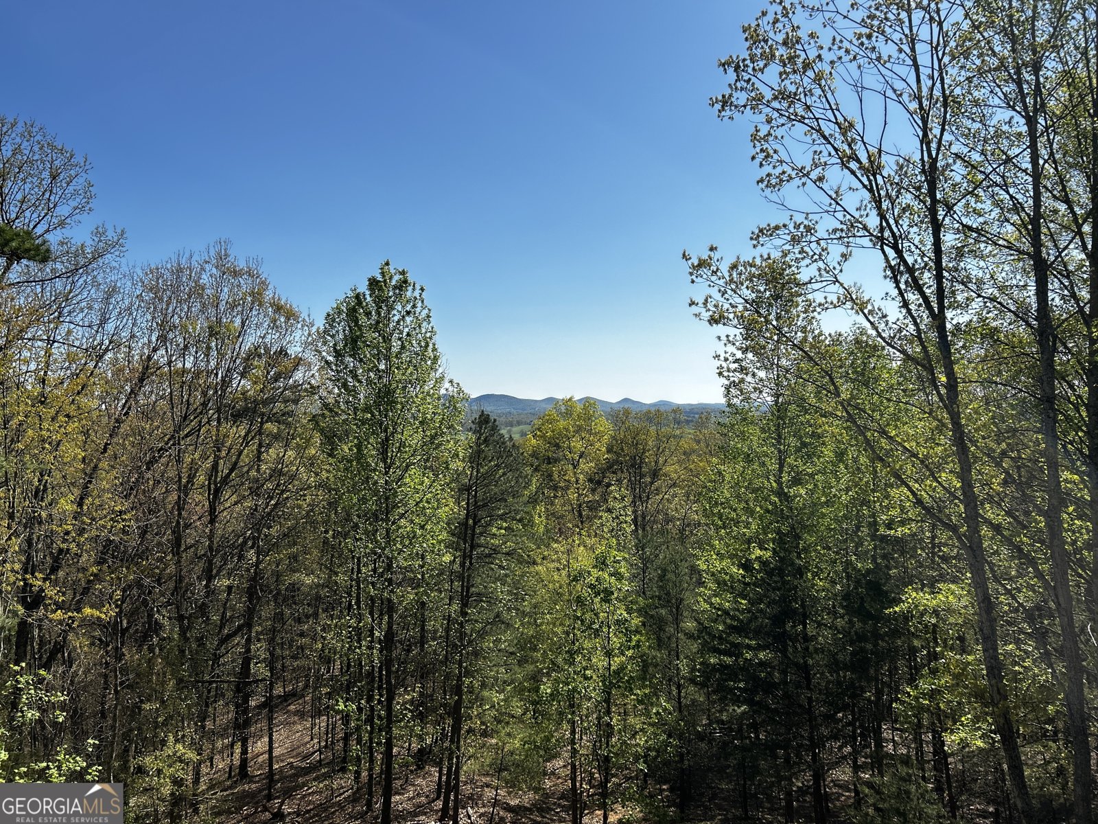 406 Yonah Mountain Road Cleveland - Photo 59