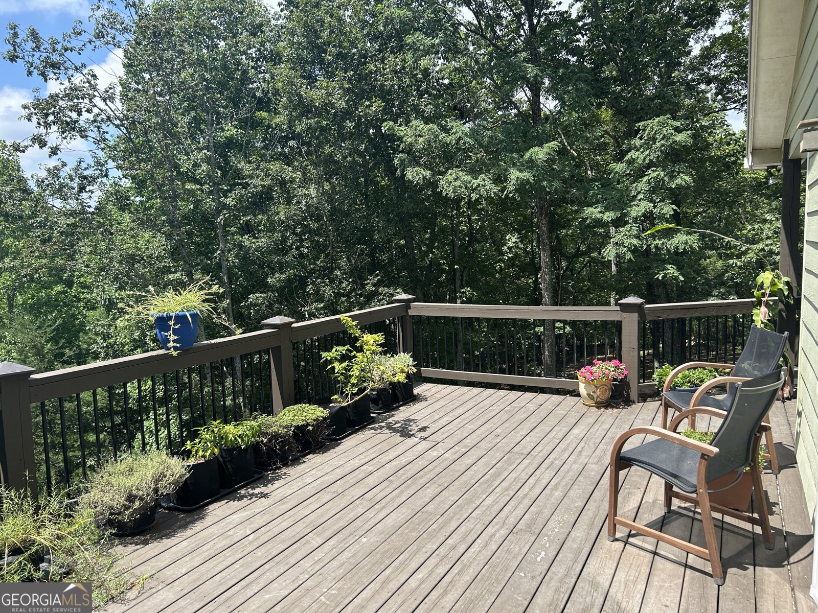 406 Yonah Mountain Road Cleveland - Photo 62