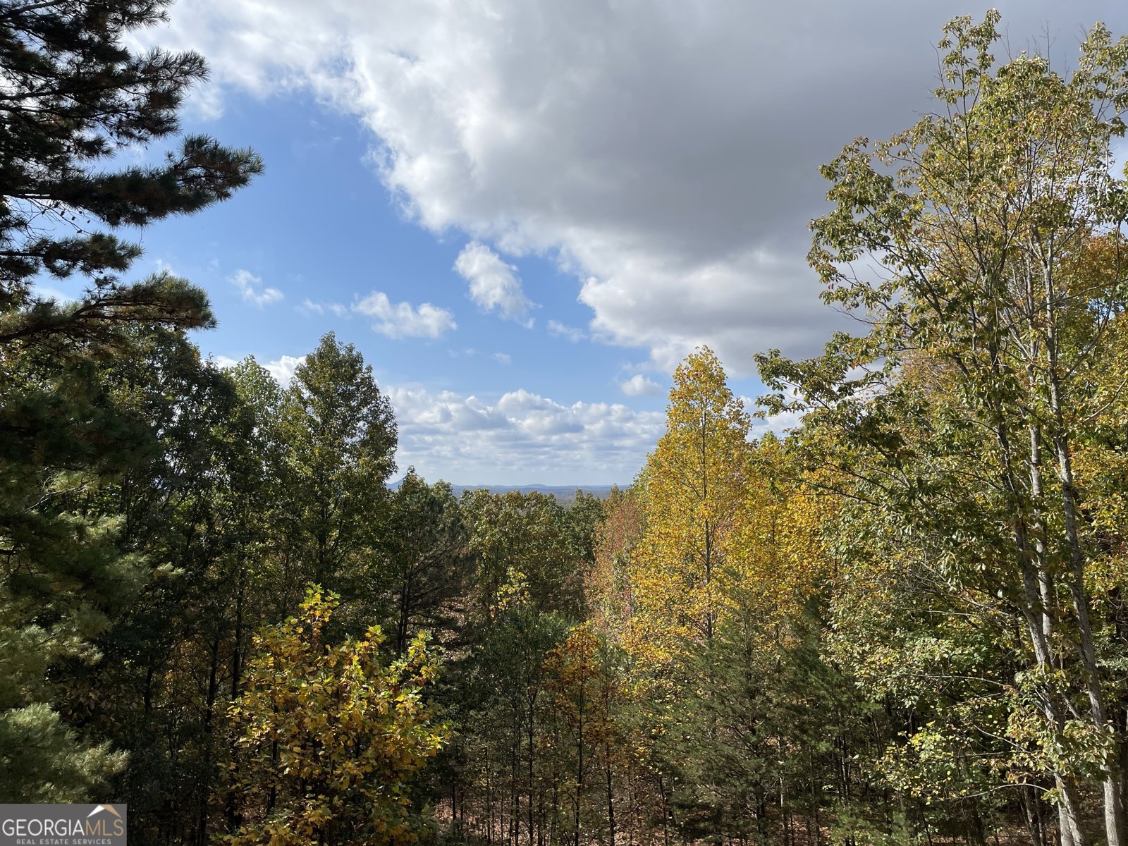 406 Yonah Mountain Road Cleveland - Photo 64