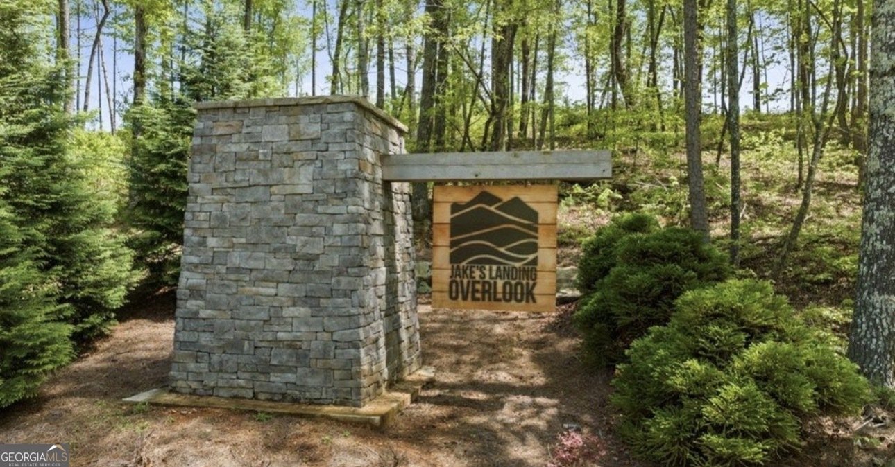 84 Ridge Line Trail Ellijay - Photo 60