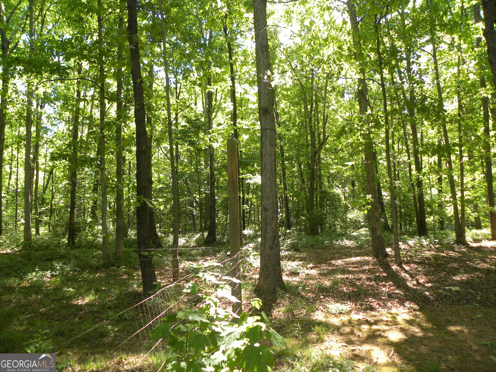 2627 Cole Road Carnesville - Photo 22