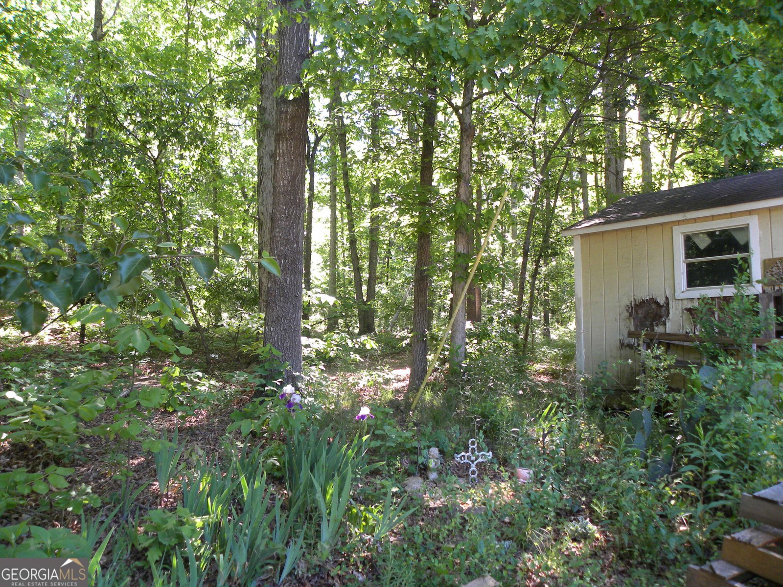 2627 Cole Road Carnesville - Photo 27