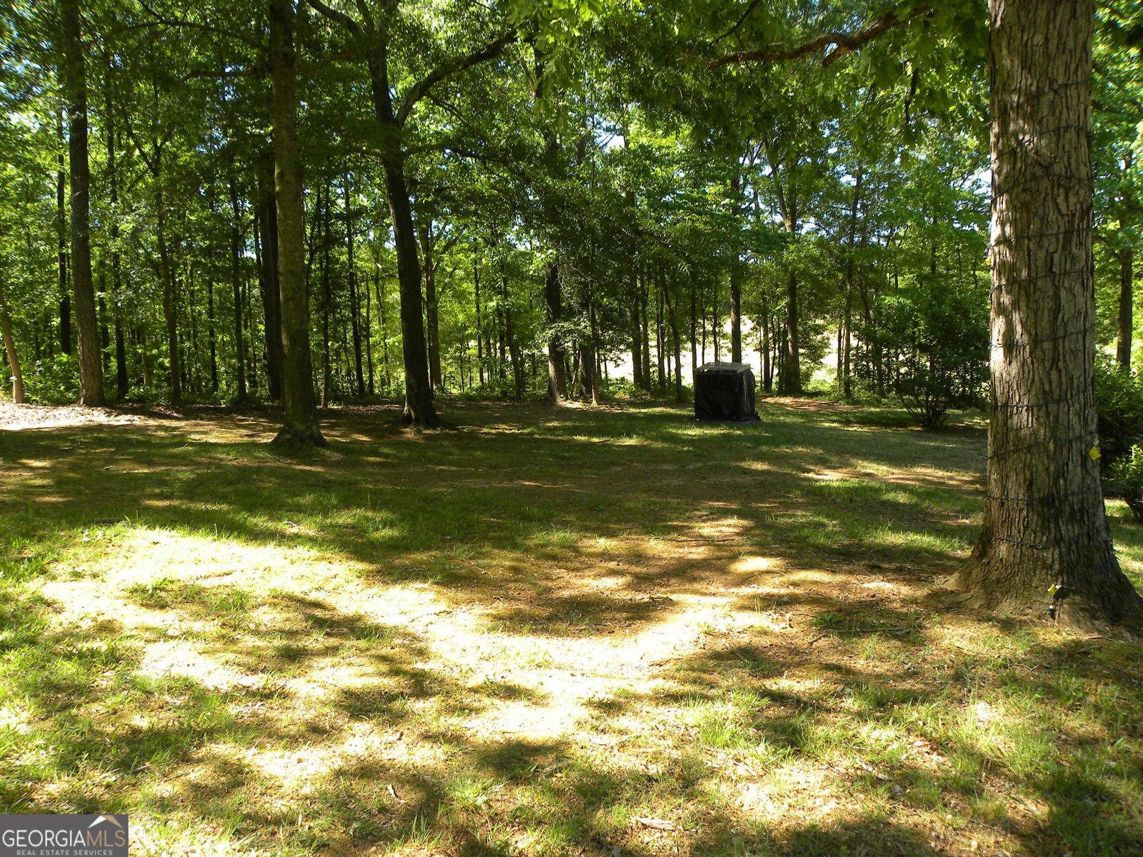 2627 Cole Road Carnesville - Photo 36