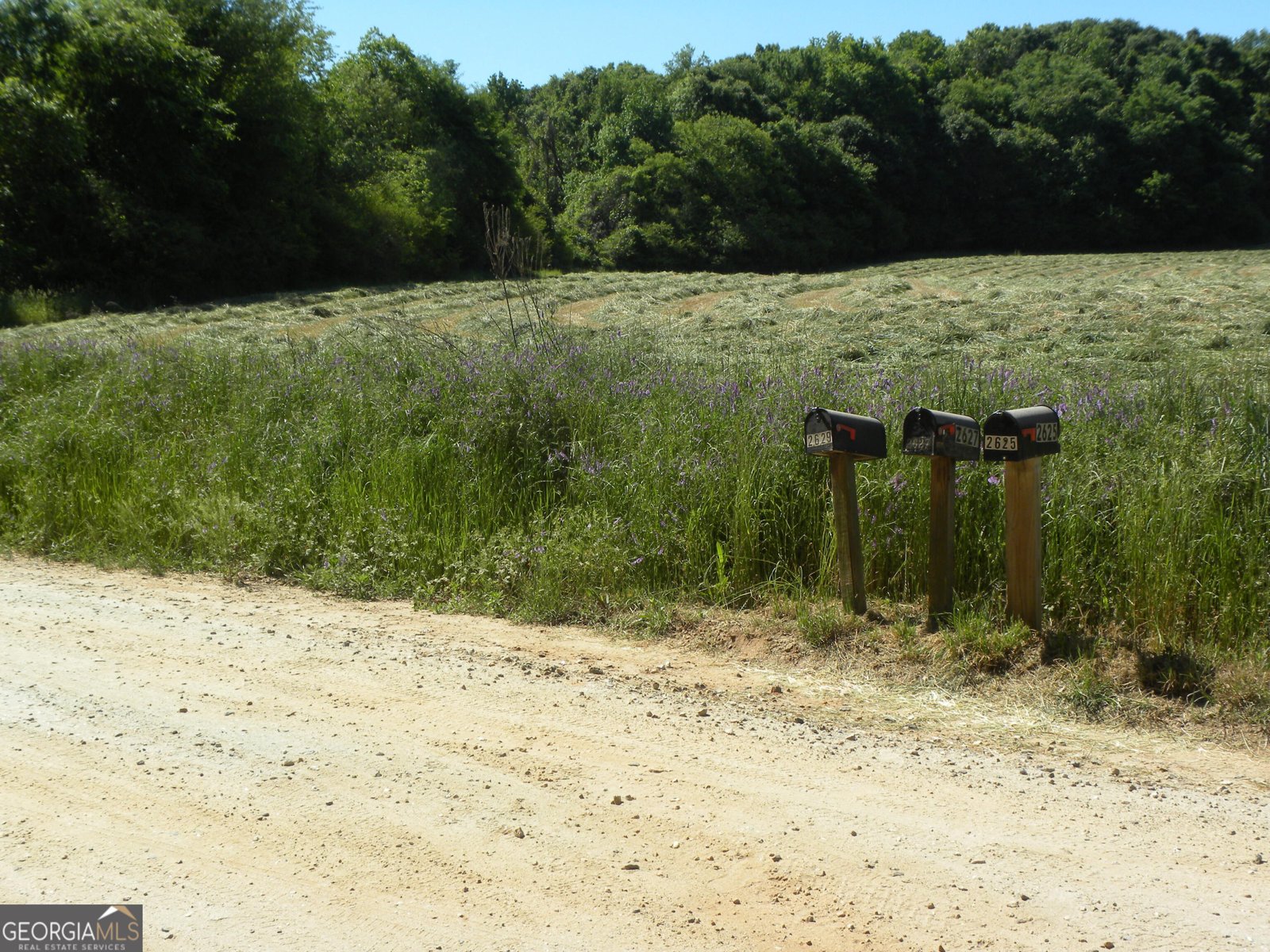 2627 Cole Road Carnesville - Photo 45