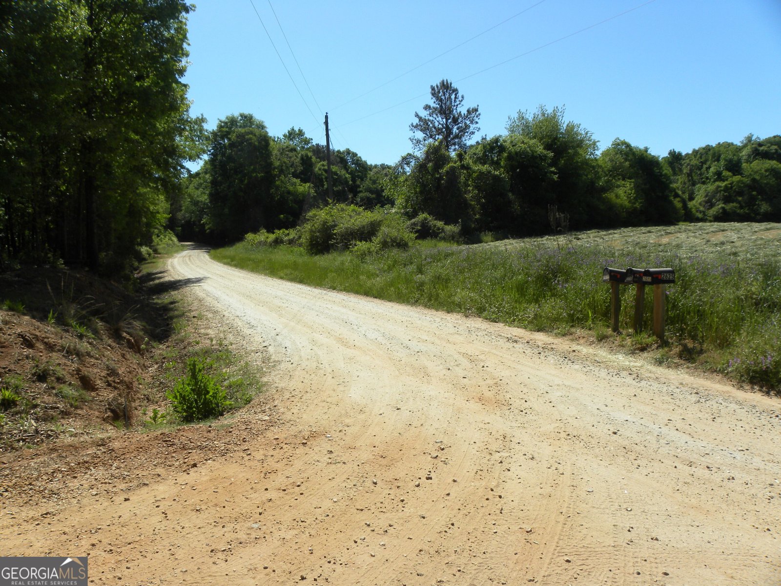 2627 Cole Road Carnesville - Photo 46