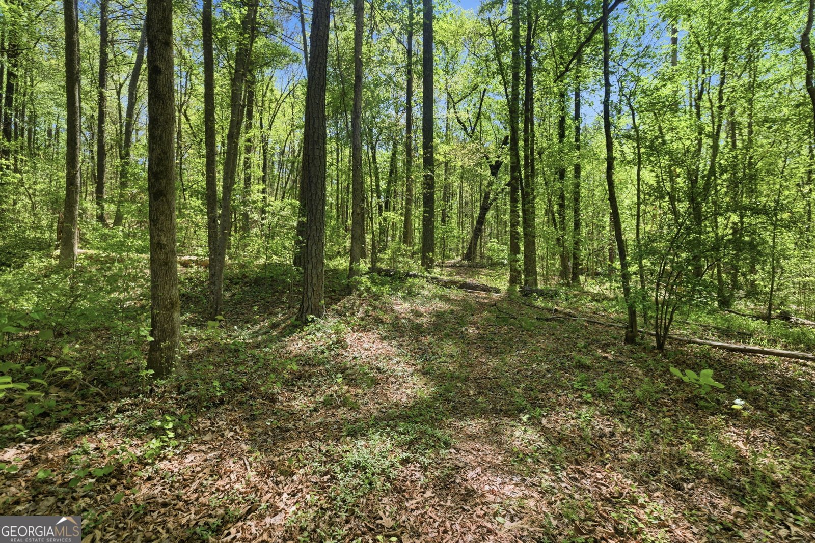 5430 Bethlehem Road Fairburn - Photo 39