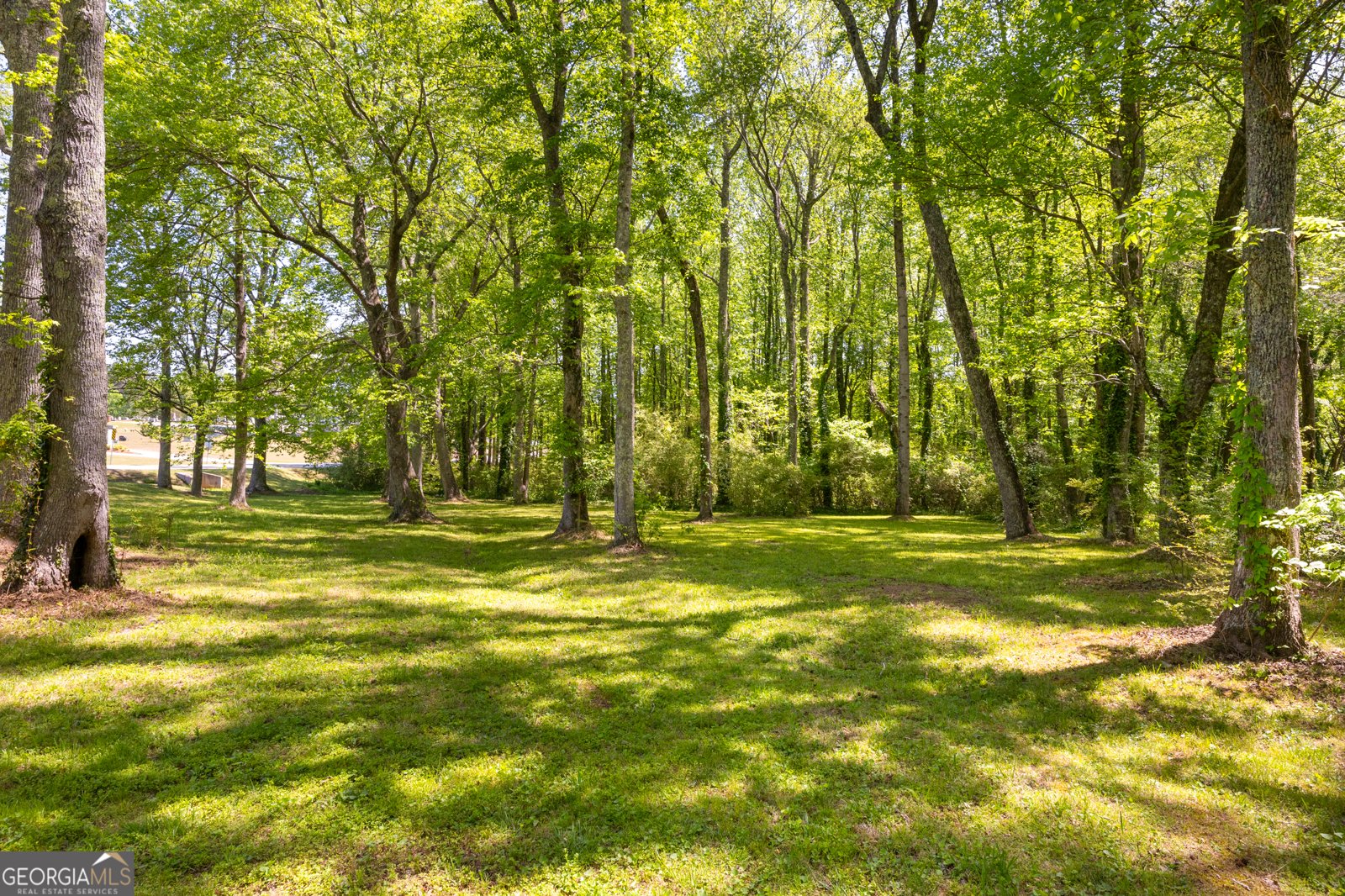 175 Hart Road Dallas - Photo 29